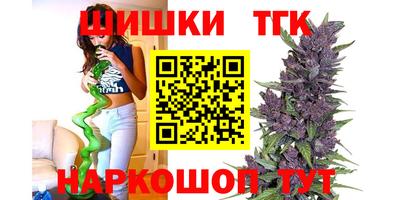 Альфа ПВП Новодвинск